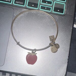 Alex and Ani Gold Bracelet with Red Apple Charm